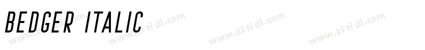 Bedger Italic字体转换 Bedger Italic字体转换